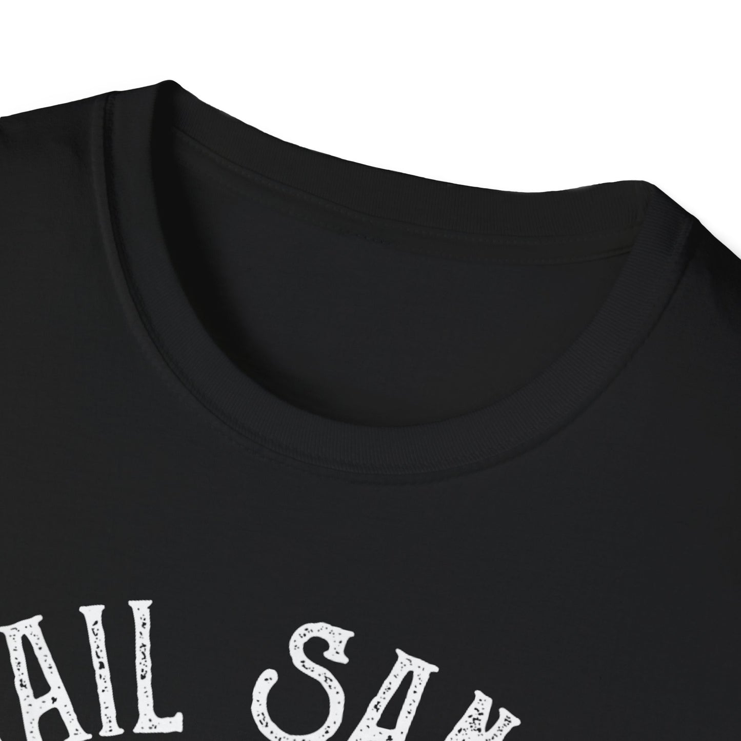 Hail SANTA - Unisex Softstyle T-Shirt